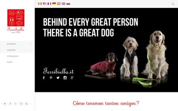 The homepage of ferribiella.it in 2017
